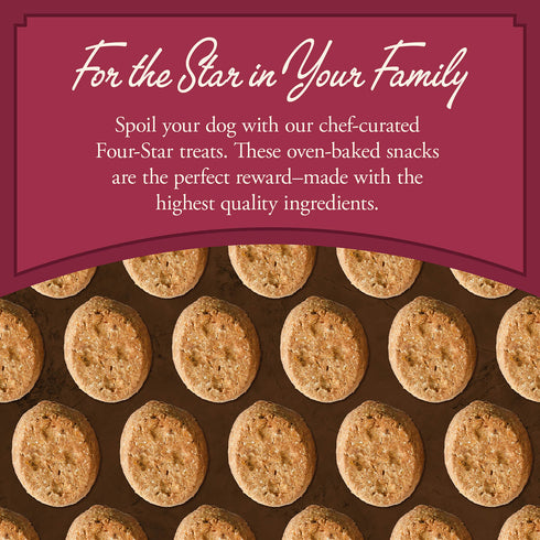 Fromm Four-Star Dog Treats - Salmon with Sweet Potato - 8oz Pouch