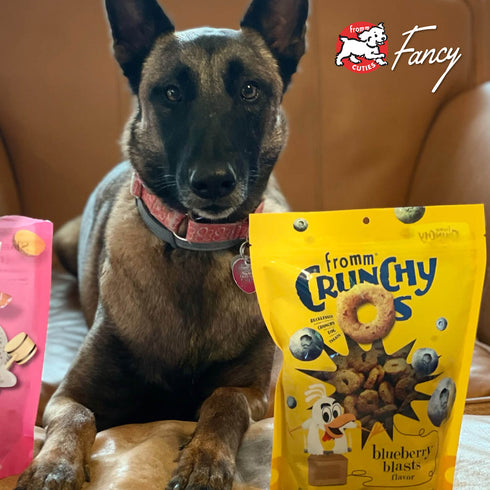 Fromm Crunchy O's Blueberry Blasts Dog Treats - Blueberry & Chicken - 26oz Bag