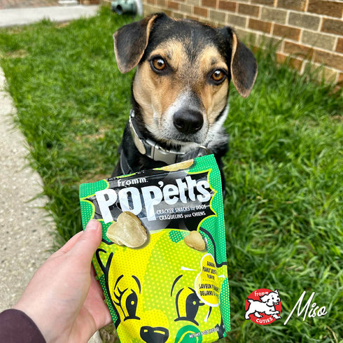 Fromm Pop'etts Dog Treats - Banana & Peanut Butter - 6oz Pouch