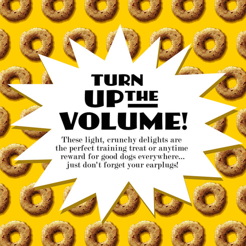 Fromm Crunchy O's Blueberry Blasts Dog Treats - Blueberry & Chicken - 26oz Bag