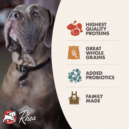 Fromm Classic Large & Giant Breed Dry Dog Food - Chicken - 5lb Bag