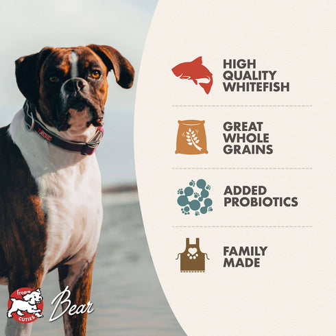 Fromm Classic Dry Dog Food - Whitefish & Rice - 15lb Bag