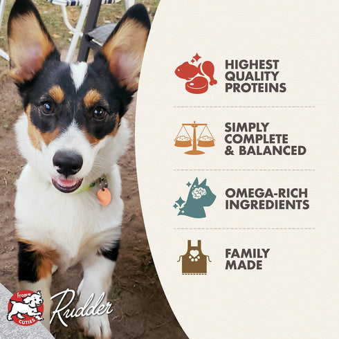 Fromm Classic Puppy Wet Dog Food - Chicken & Salmon - 12.5oz Can