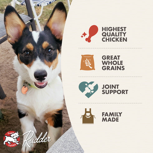 Fromm Classic Puppy Dry Dog Food - Chicken - 5lb Bag