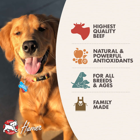 Fromm Diner Breakfast Wet Dog Food - Maddie's Morning Hash Beef - 12.5oz Can