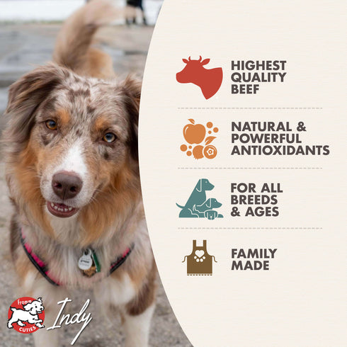 Fromm Diner Breakfast Wet Dog Food - Sam's Steak & Eggs - 12.5oz Can