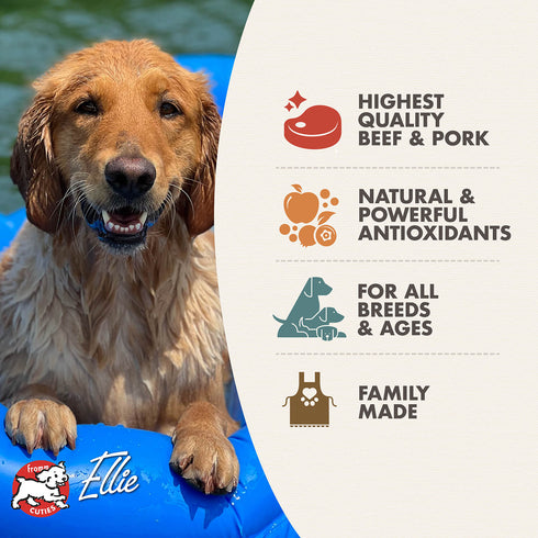 Fromm Diner Classics Wet Dog Food - Milo's Meatloaf Pate - 12.5oz Can