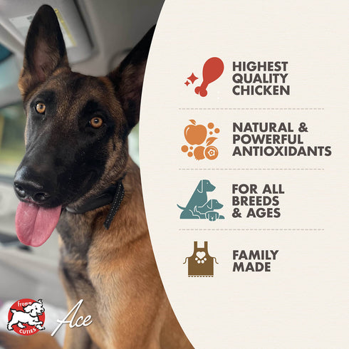 Fromm Diner Classics Wet Dog Food - Paula’s Chicken & Pumpkin Pate - 12.5oz Can