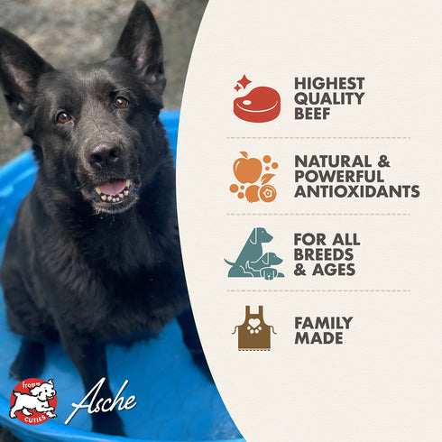 Fromm Diner Favorites Wet Dog Food - Bella's Beef Barkundy Stew - 12.5oz Can