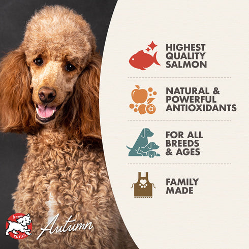 Fromm Diner Favorites Wet Dog Food - Skipper's Seafood Chowder Stew - 12.5oz Can