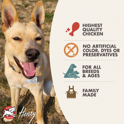 Fromm Diner Specials Wet Dog Food - Chicken Canine Bleu - 12.5oz Can