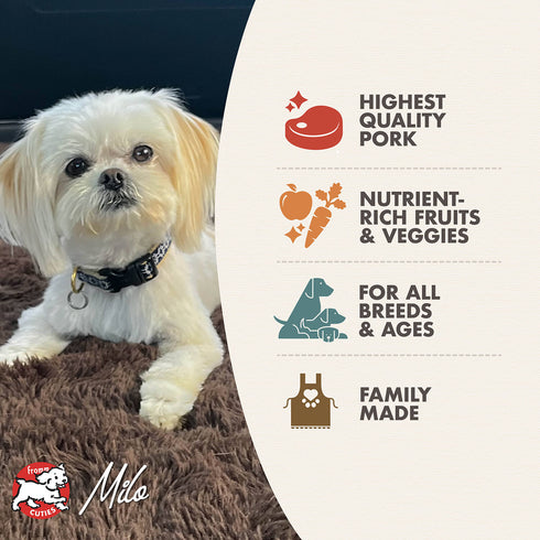 Fromm Diner Specials Wet Dog Food - Slow-Cooked Pulled Pork in Gravy - 12.5oz Can