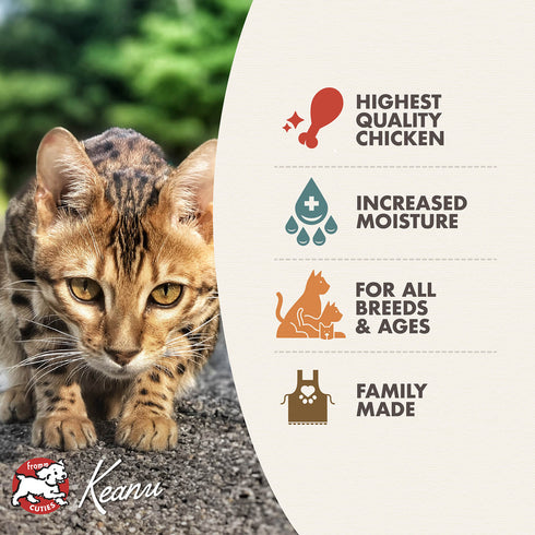 Fromm Four-Star Wet Cat Food - Shredded Chicken in Gravy - 3oz Can