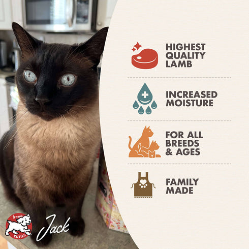 Fromm Four-Star Wet Cat Food - Lamb Pâté - 5.5oz Can