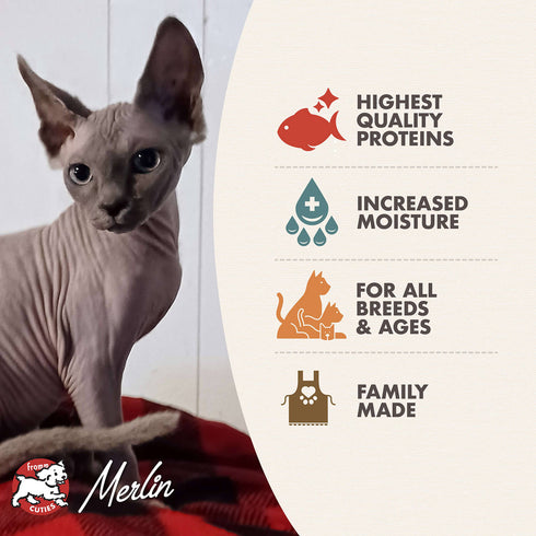 Fromm Four-Star Wet Cat Food - Salmon & Tuna Pâté - 5.5oz Can