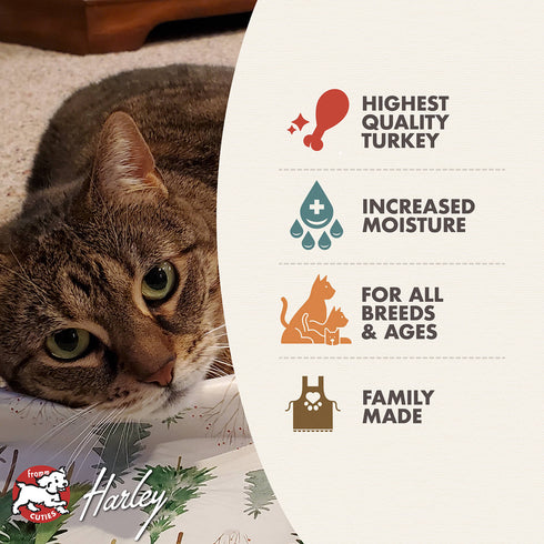 Fromm Four-Star Wet Cat Food - Shredded Turkey in Gravy - 5.5oz Can