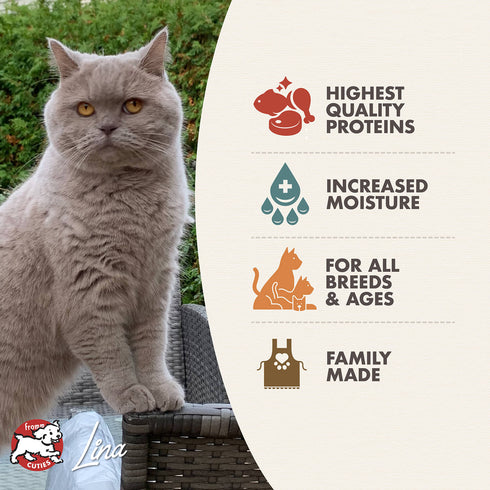 Fromm Four-Star Wet Cat Food - Shredded Surf & Turf in Gravy - 3oz Can