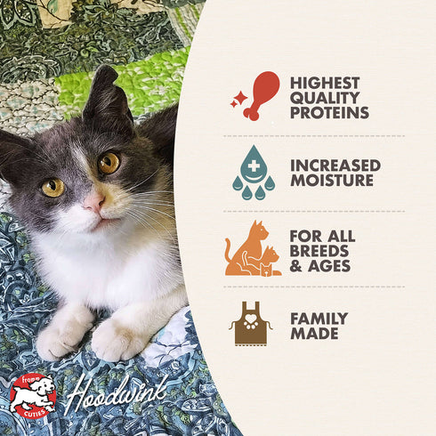 Fromm Four-Star Wet Cat Food - Turkey & Duck Pâté - 5.5oz Can