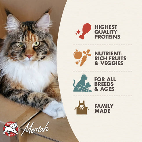 Fromm Four-Star Grain Free Dry Cat Food - Beef Livattini Veg - 10lb Bag