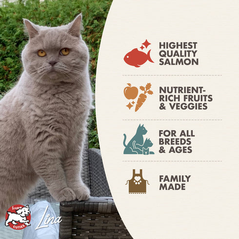 Fromm Four-Star Dry Cat Food - Salmon Á La Veg - 4lb Bag