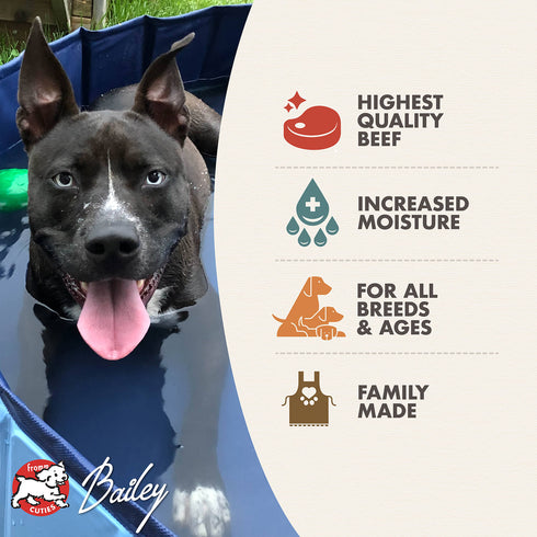 Fromm Four-Star Wet Dog Food - Shredded Beef in Gravy - 12oz Can