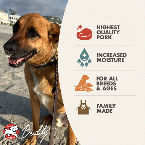 Fromm Four-Star Wet Dog Food - Shredded Pork in Gravy - 12oz Can