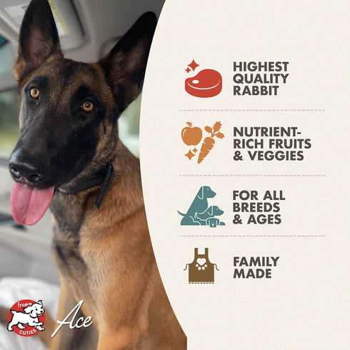 Fromm Four-Star Dry Dog Food - Hasen Duckenpfeffer - 4lb Bag