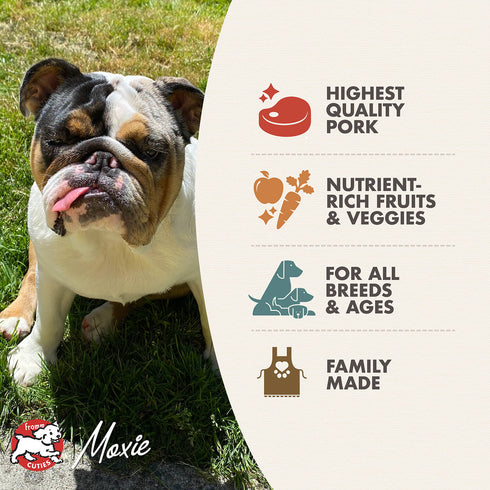 Fromm Four-Star Dry Dog Food - Pork & Peas - 12lb Bag