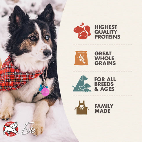 Fromm Four-Star Dry Dog Food - Rancherosa - 12lb Bag