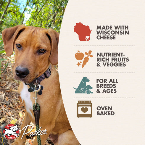 Fromm Four-Star Dog Treats - Parmesan Cheese - 8oz Pouch