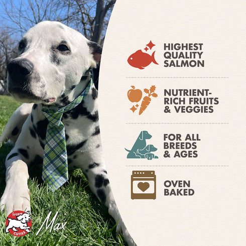 Fromm Four-Star Dog Treats - Salmon with Sweet Potato - 8oz Pouch