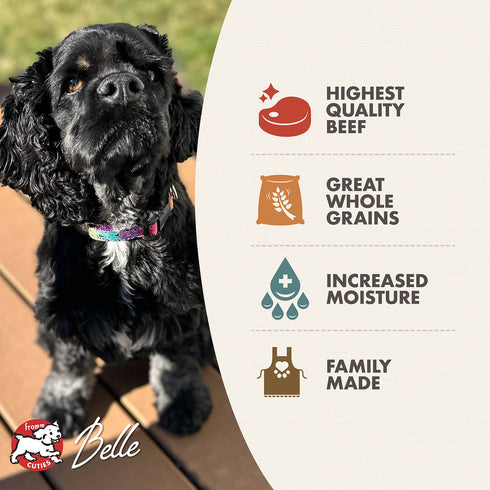 Fromm Pâté Wet Dog Food - Beef & Barley - 12.2oz Can