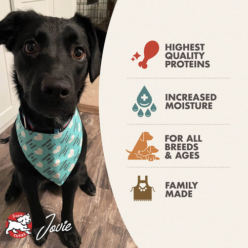 Fromm Pâté Wet Dog Food - Chicken & Duck - 12.2oz Can