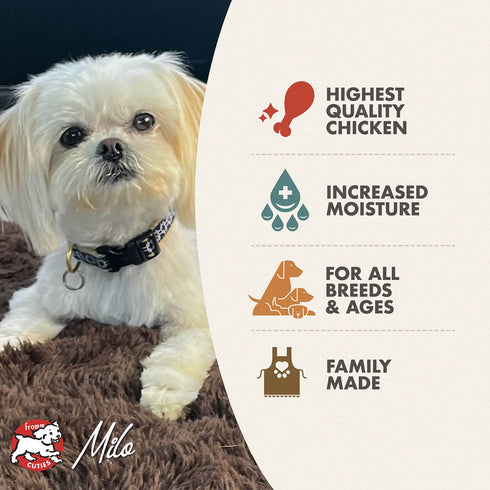 Fromm Pâté Wet Dog Food - Chicken & Sweet Potato - 12.2oz Can