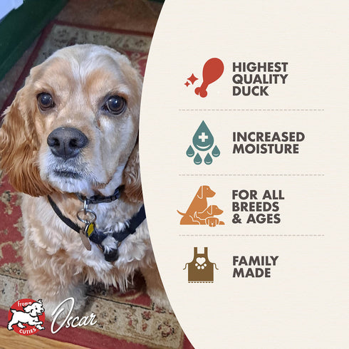 Fromm Pâté Wet Dog Food - Duck A La Veg - 12.2oz Can