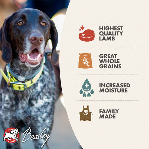 Fromm Pâté Wet Dog Food - Lamb - 12.2oz Can