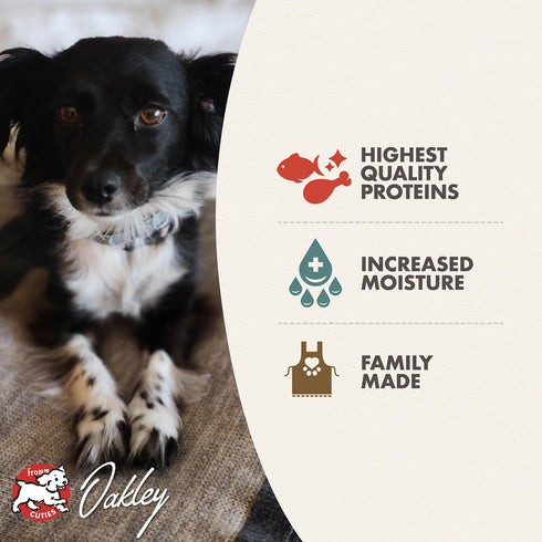 Fromm Pâté Wet Dog Food - Salmon & Chicken - 12.2oz Can