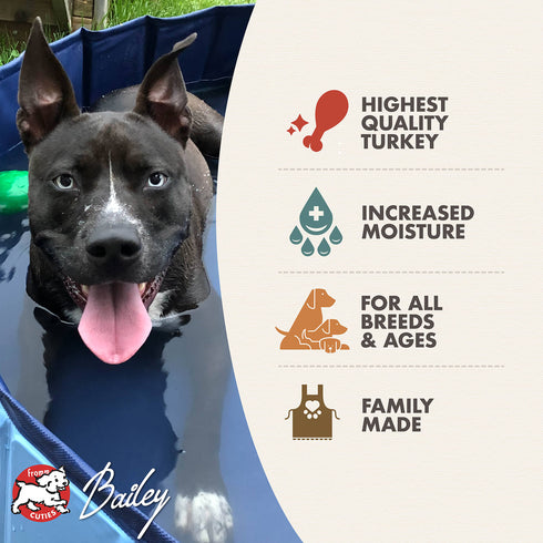 Fromm Pâté Wet Dog Food - Turkey & Pumpkin - 12.2oz Can