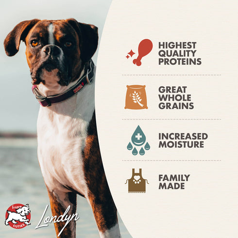 Fromm Pâté Wet Dog Food - Turkey, Duck, & Sweet Potato - 12.2oz Can