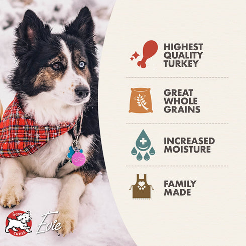 Fromm Pâté Wet Dog Food - Turkey - 12.2oz Can