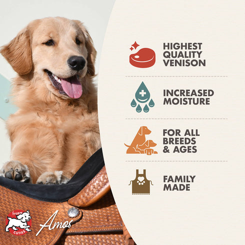 Fromm Pâté Wet Dog Food - Venison & Lentil - 12.2oz Can