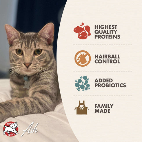 Fromm Indoor Gold Dry Cat Food - Chicken & Duck - 10lb Bag