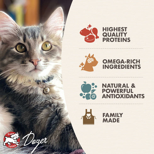 Fromm Kitten Gold Dry Cat Food - Chicken & Duck - 4lb Bag