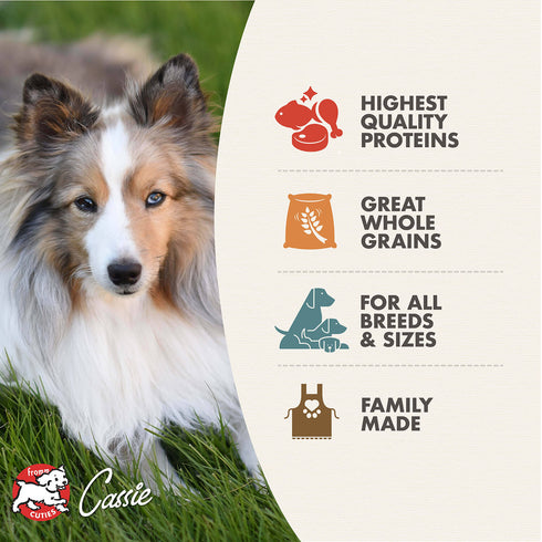 Fromm Gold with Ancient Grains Dry Dog Food - Chicken & Grains - 30lb Bag