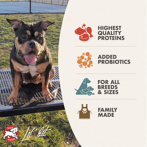 Fromm Heartland Gold Adult Dry Dog Food - Beef & Pork - 4lb Bag