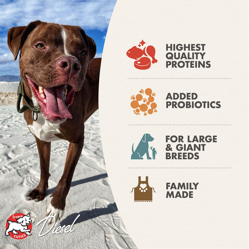 Fromm Heartland Gold Large Breed Adult Dry Dog Food - Beef & Pork - 12lb Bag