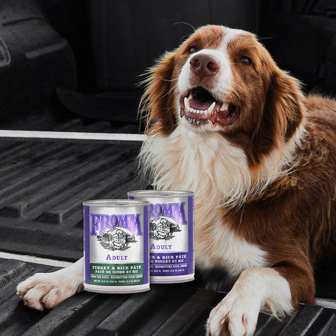 Fromm Classic Adult Wet Dog Food - Turkey & Rice - 12.5oz Can