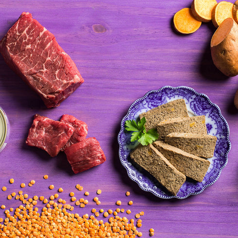 Fromm Four-Star Wet Cat Food - Beef & Venison Paté - 5.5oz Can