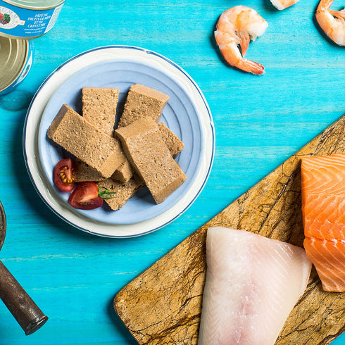 Fromm Four-Star Wet Cat Food - Seafood & Shrimp Pâté - 5.5oz Can