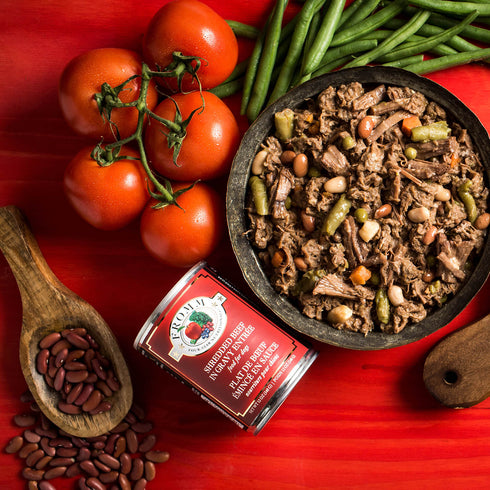 Fromm Four-Star Wet Dog Food - Shredded Beef in Gravy - 12oz Can